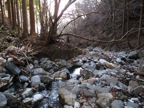 20171207hike (358)